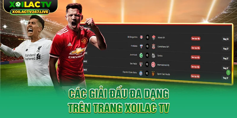 cac-giai-dau-da-dang-tren-trang-xoilac-tv