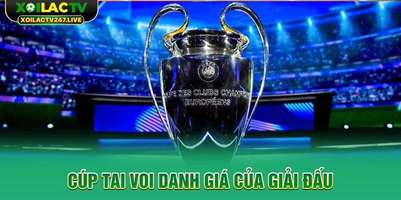 cup-tai-voi-danh-gia-cua-giai-dau