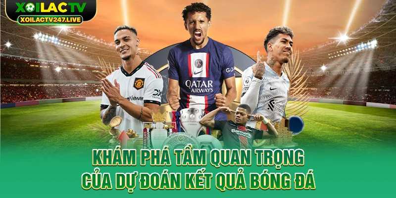 kham-pha-tam-quan-trong-cua-du-doan-ket-qua-bong-da
