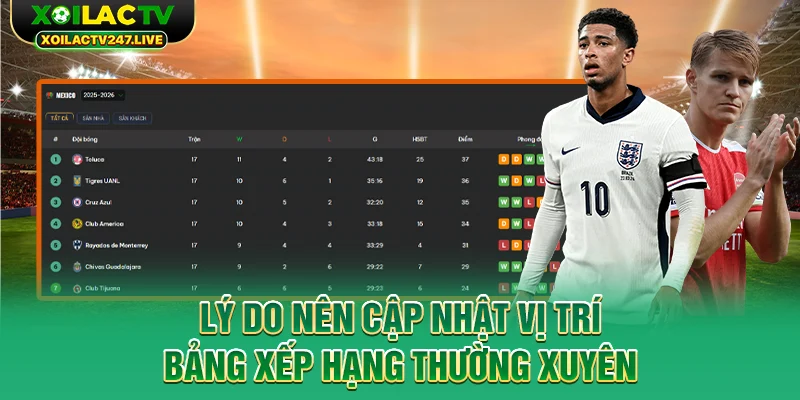 ly-do-nen-cap-nhat-vi-tri-bang-xep-hang-thuong-xuyen